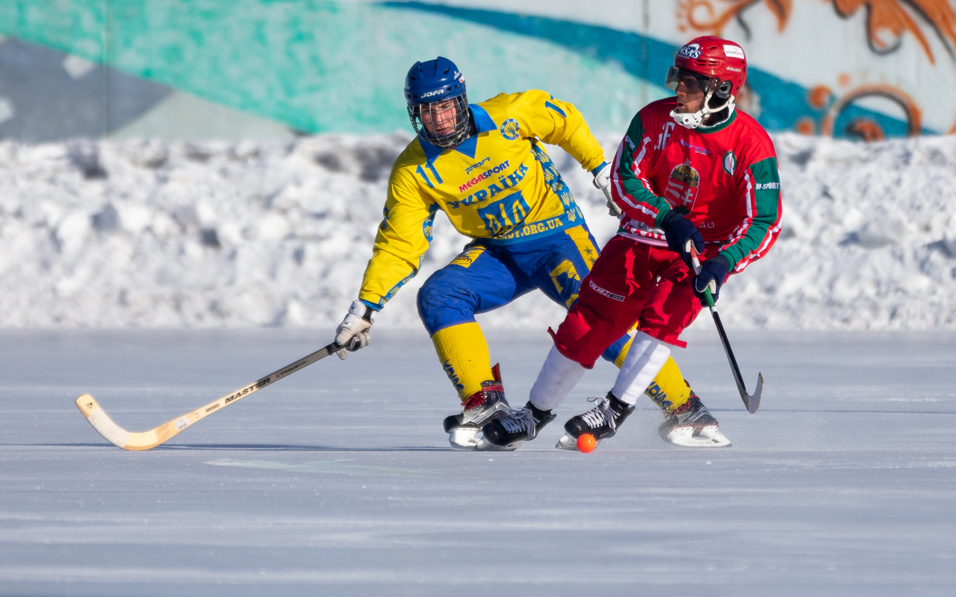 TV Bandy хоккей с мячом